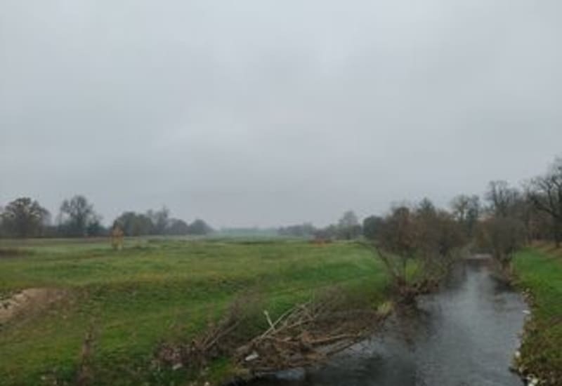 Las Lublinek - Łódź