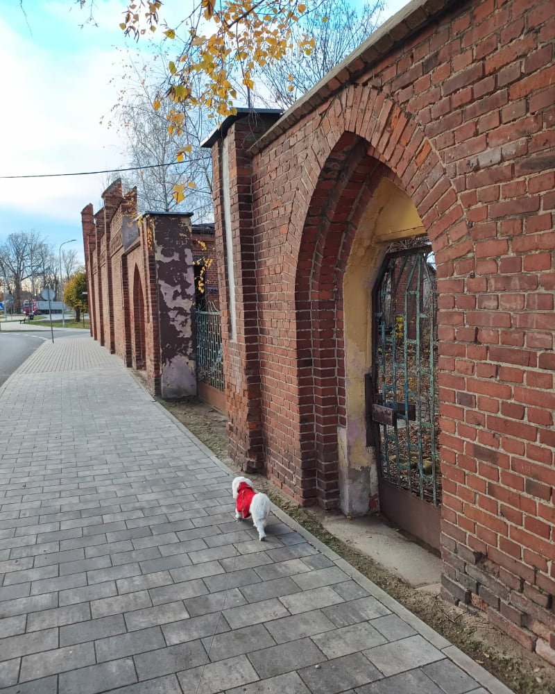 Spacer po Nowym Stawie - Nowy Staw
