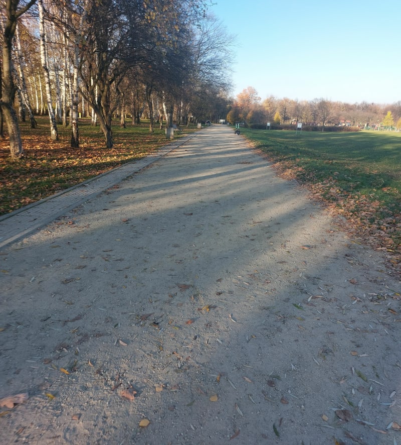 Spacer alejka przy parku - Katowice