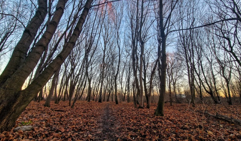Zabie doły od osiedla Arki Bożka - Bytom