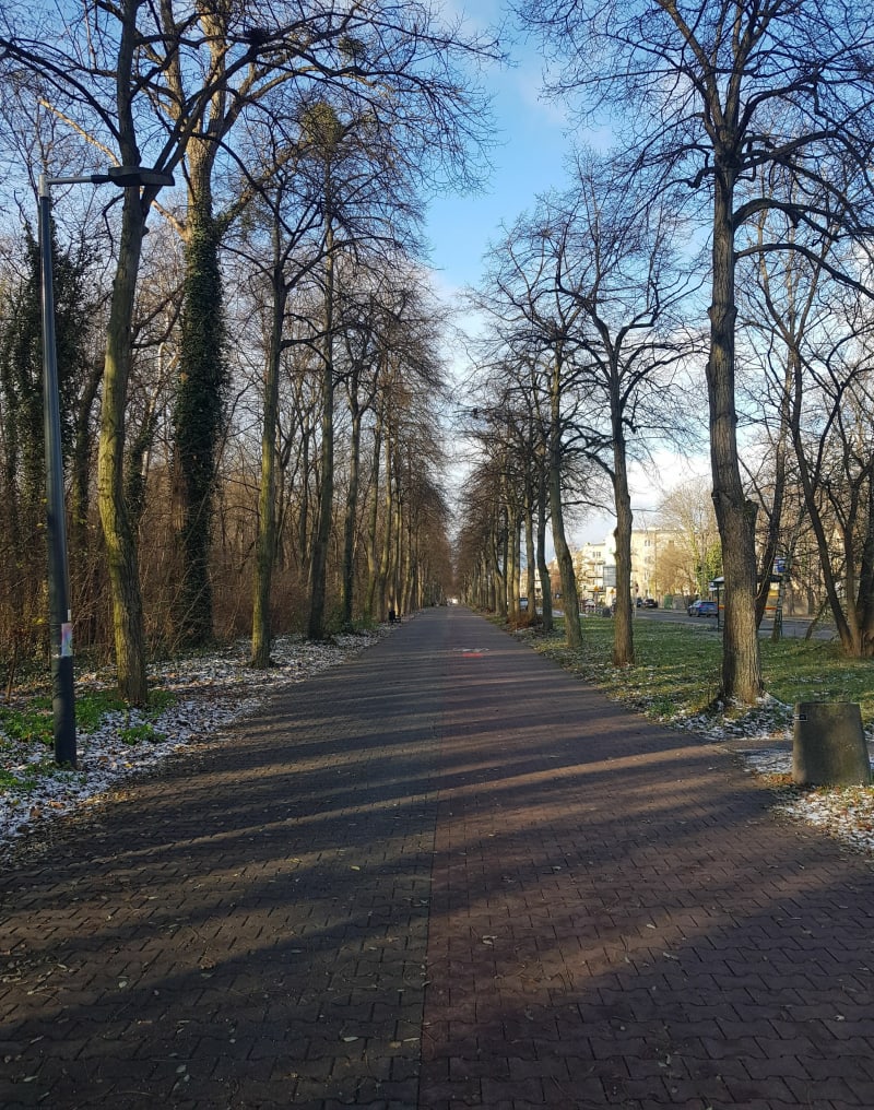 Pętla w Parku na Zdrowiu - Łódź