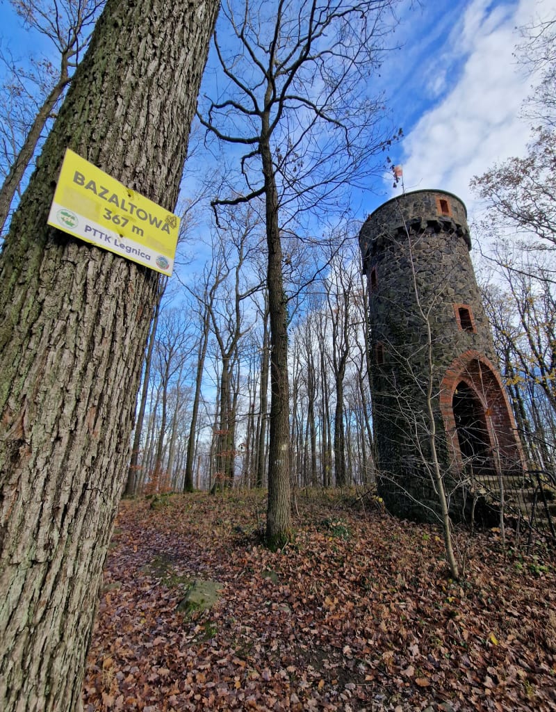 Bazaltowa Góra Paszowice - Paszowice