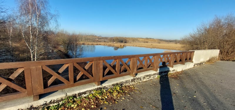 Żabie Doły spacer górną ścieżką nad stawami - Bytom
