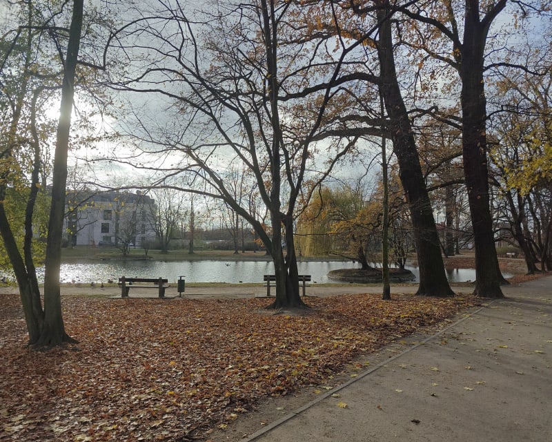 Spacer po Parku 3-maja w Ostrowie Wielkopolskim. - Ostrów Wielkopolski