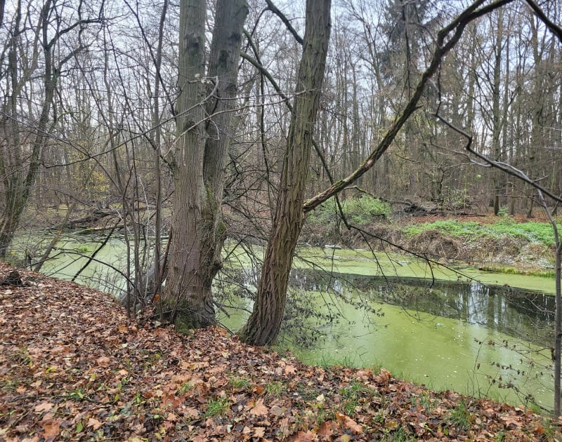 Trasa Bystrzycko - Mokrzańska - Wrocław