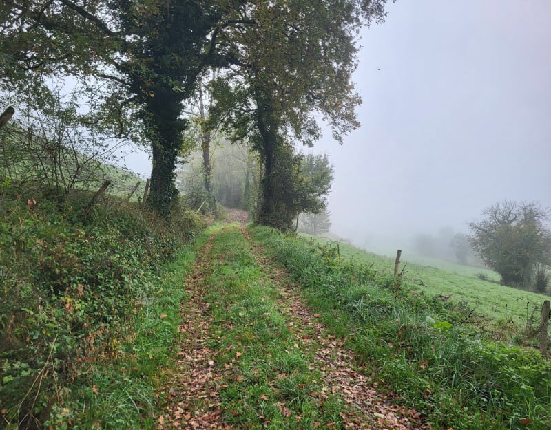À la découverte des résistants de La Bridoire - La Bridoire