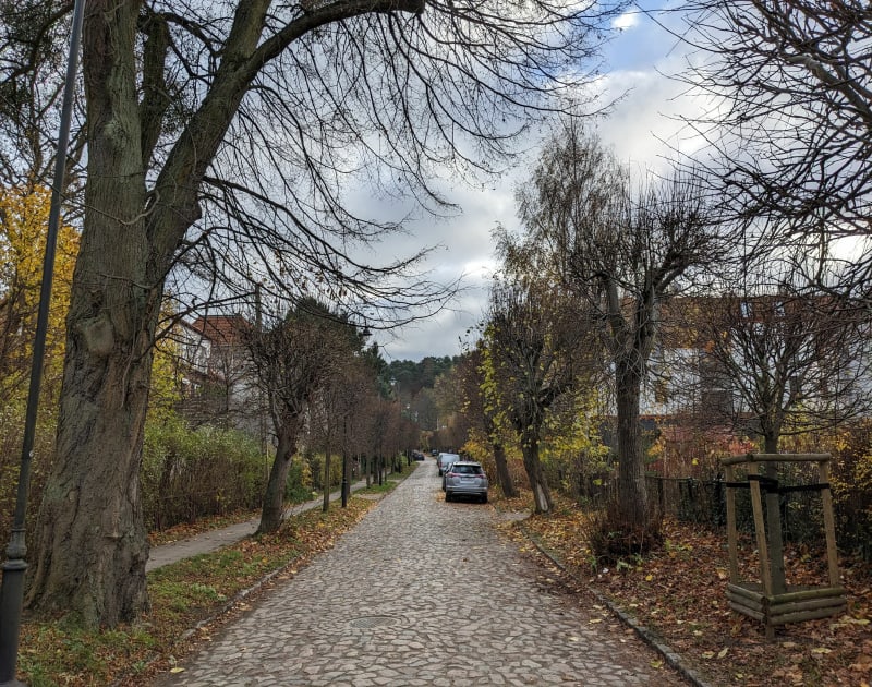 Wycieczka do lasu Trójmiejskiego - Gdańsk