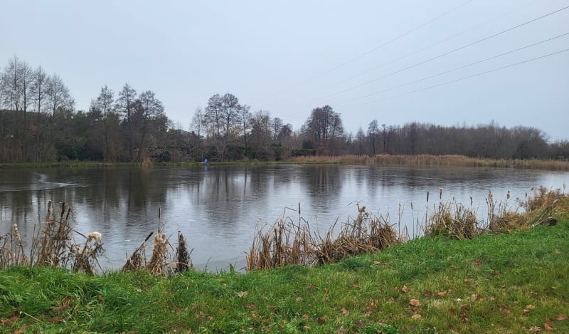 Stawy w Dominowie - Dominów