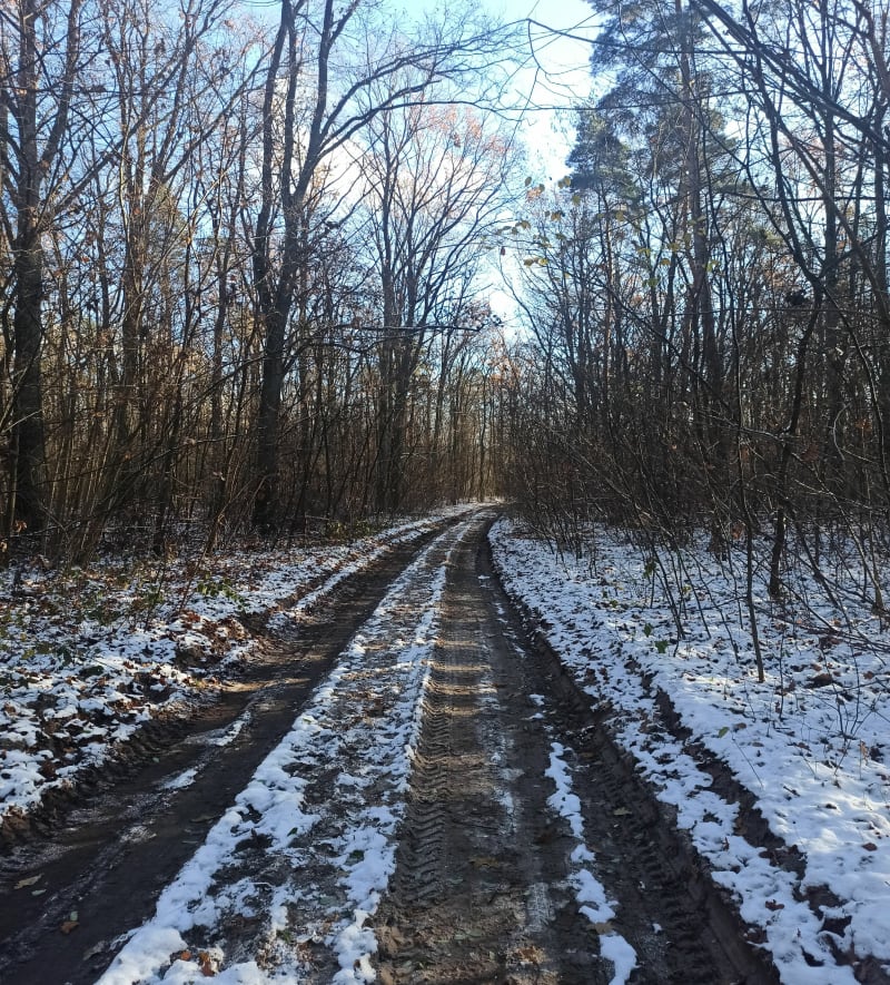 Rezerwat Biele Chojnowskie - Wólka Pęcherska