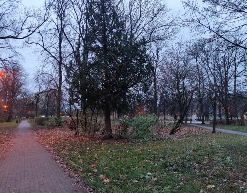 Parki i zieleńce na górnej - Łódź