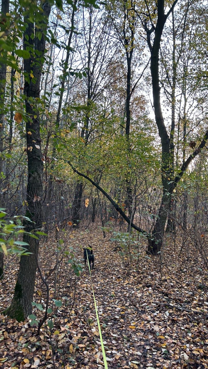 Walk or run - Łódź