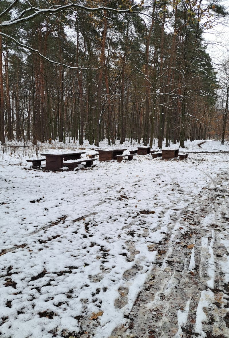 Tychy – grill nad jeziorem - Tychy