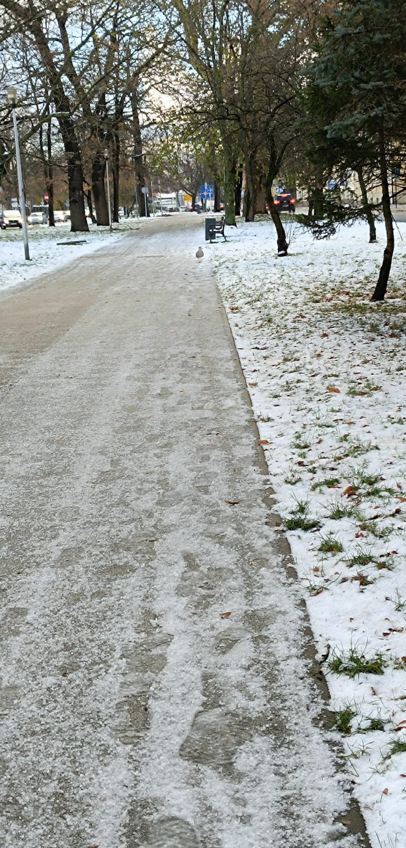 Relaksujący spacerek - Słupsk