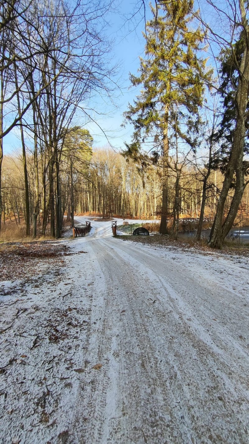 Bieganie lub spacer - Giżycko