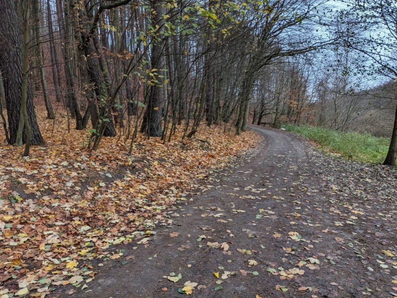 Wędrówka po Trójmiejskim Parku Krajobrazowym - Gdańsk