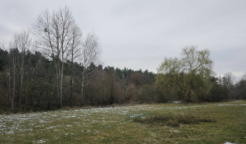 Ostrołęka - spacer na plażę - Ostrołęka
