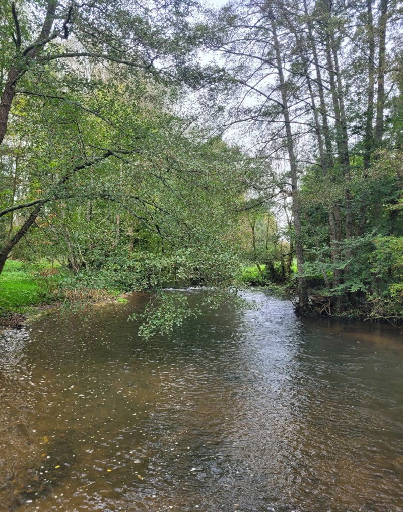 Boucle de Brûlons  au départ du plan d'eau - Brulon