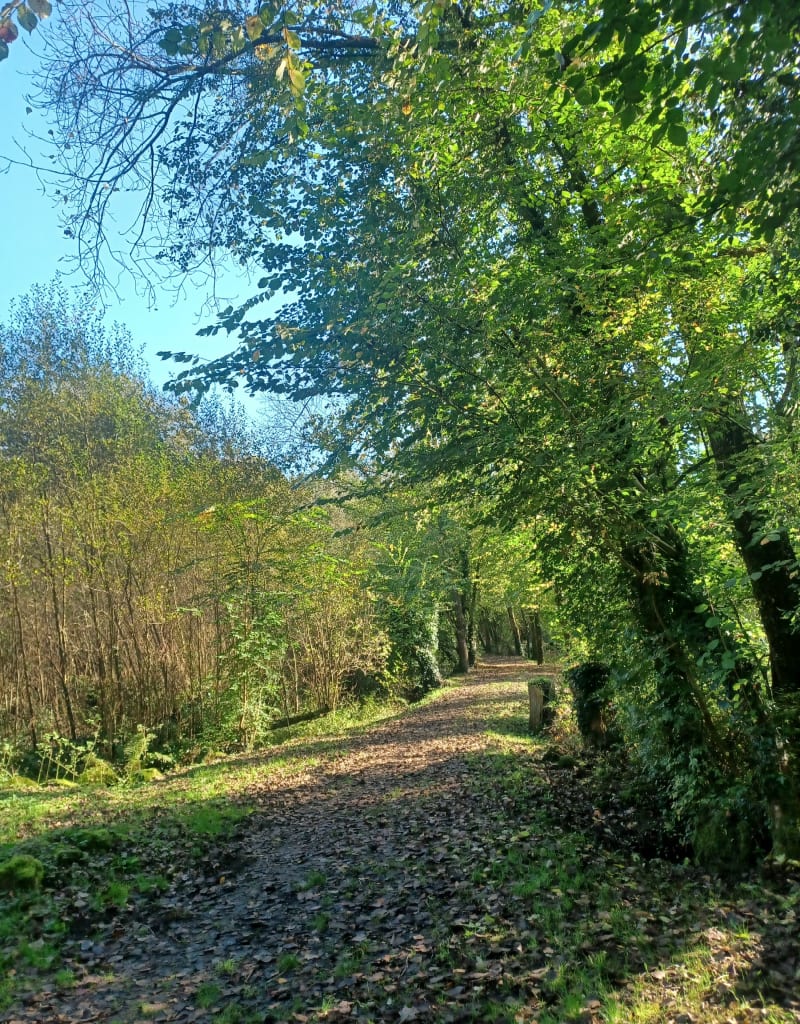 Les cascades de Roullours - Vire-Normandie