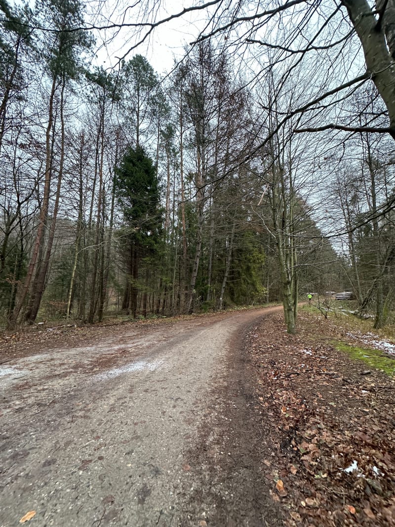 Spacer dzielnica chwarzno - Gdynia