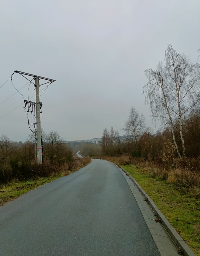 Stawki przy ulicy Porębskiego - Gdańsk