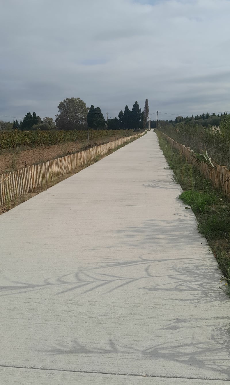 L'Agouille de la Mar de Bages à Corneilla - Bages
