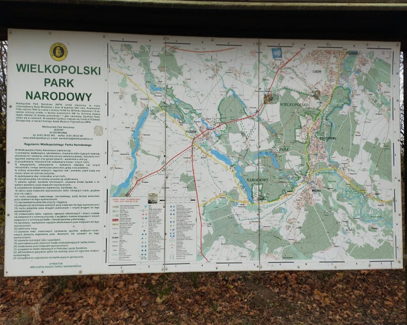 Spacer w otulinie Wielkopolskiego Parku Narodowego - Wiry