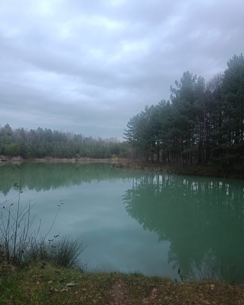 Spacer do stawu w Boroszowie - Boroszów