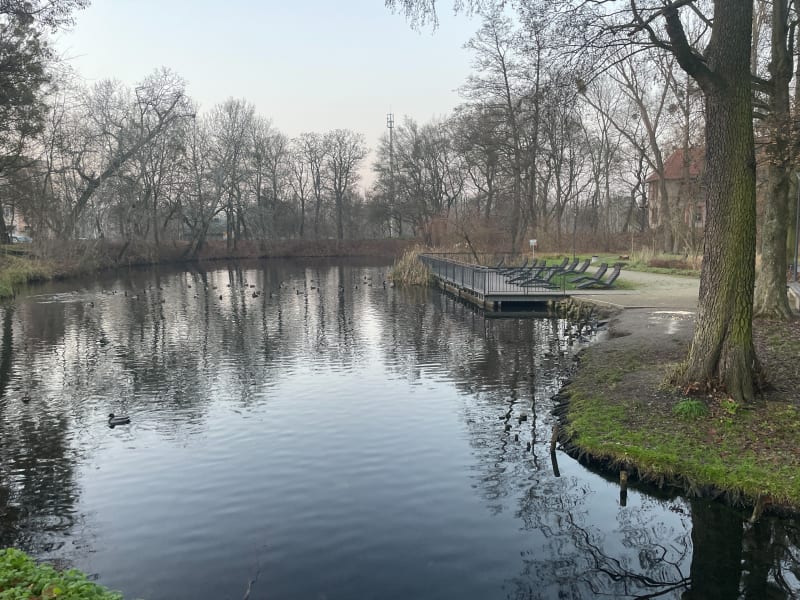 Park Tysiąclecia - Toruń