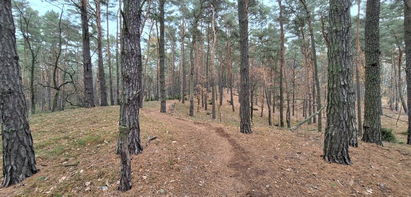 Wschodni kampinos szlakami pieszymi - Łomianki