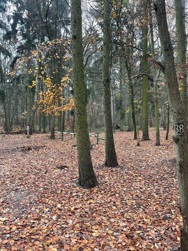 Podbórz - leśna trasa - Szczecin