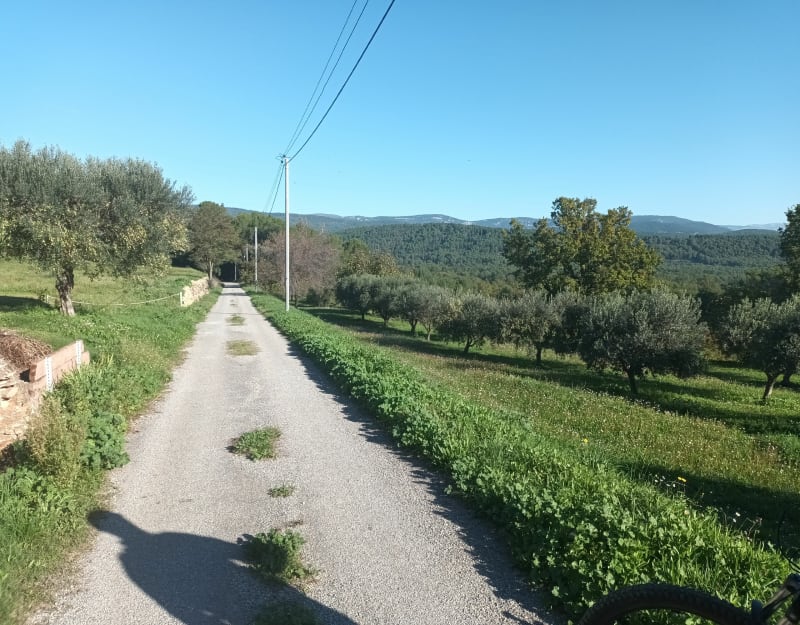 Balade autour de Trans-en-Provence et Draguignan - Draguignan