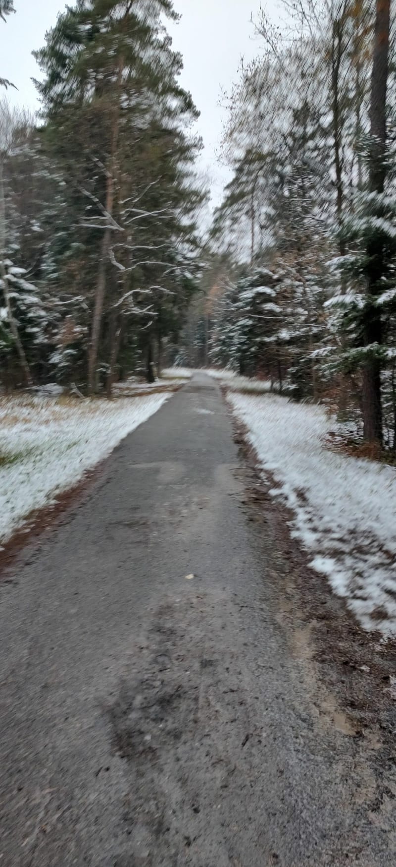 Z Barwinka na Pierścienice - Kielce