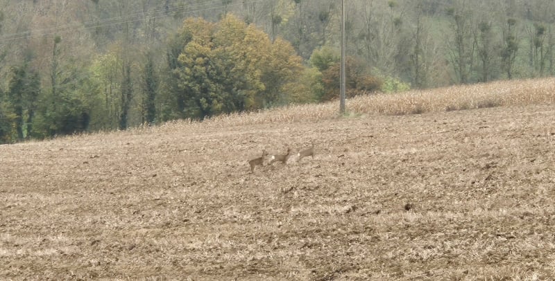 Autour de Boubers et Embry - Boubers-lès-Hesmond