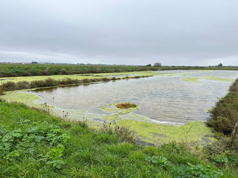 Chemin de mer et de marais à L'Epine - L'Épine