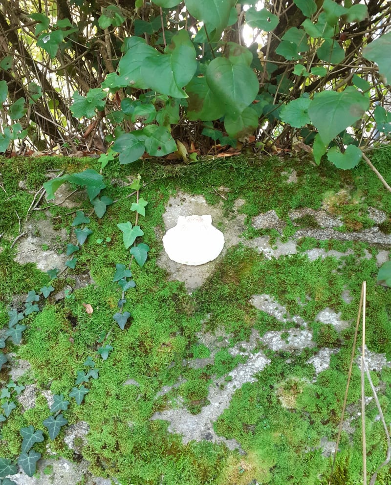 La Gartempe et son menhir - Chamborand
