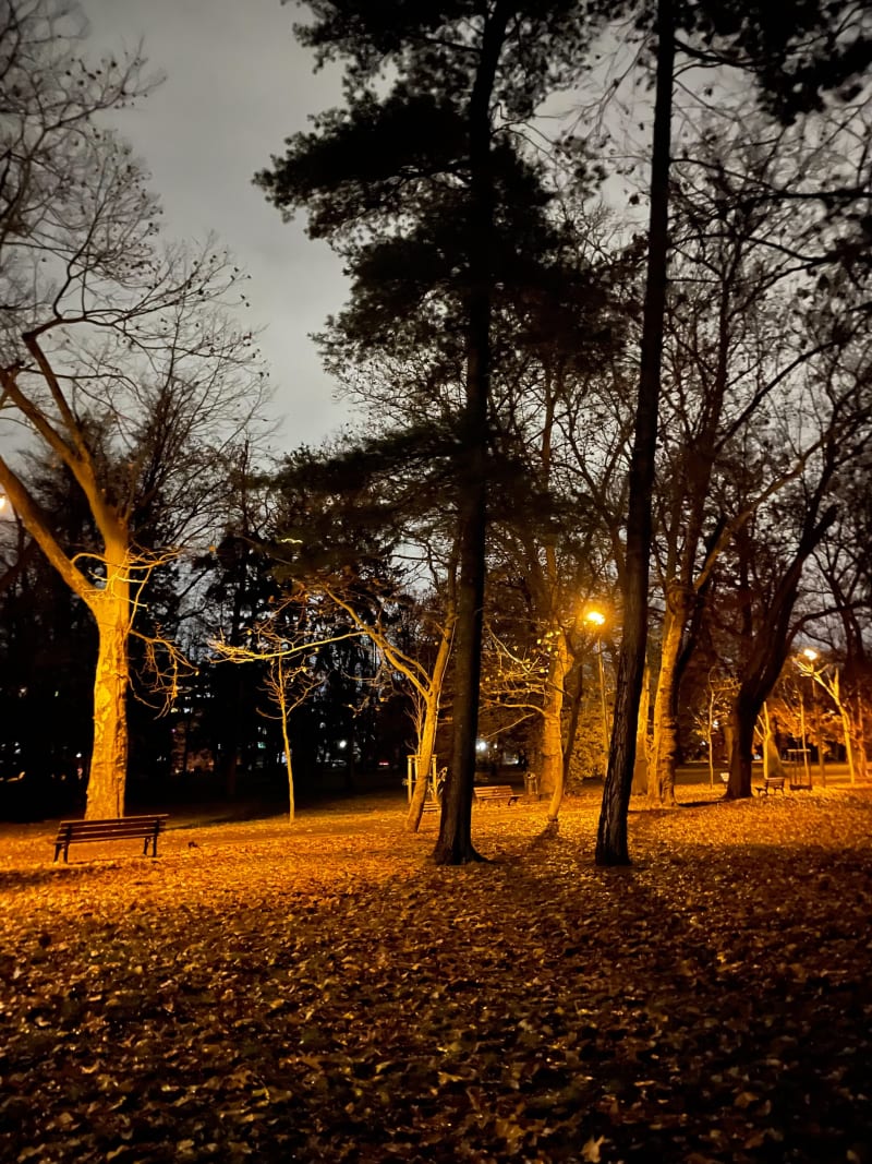Wieczorny spacer Parkiem Skowronim - Wrocław