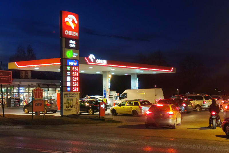 Spacer z psem po niwie - Nowy Targ