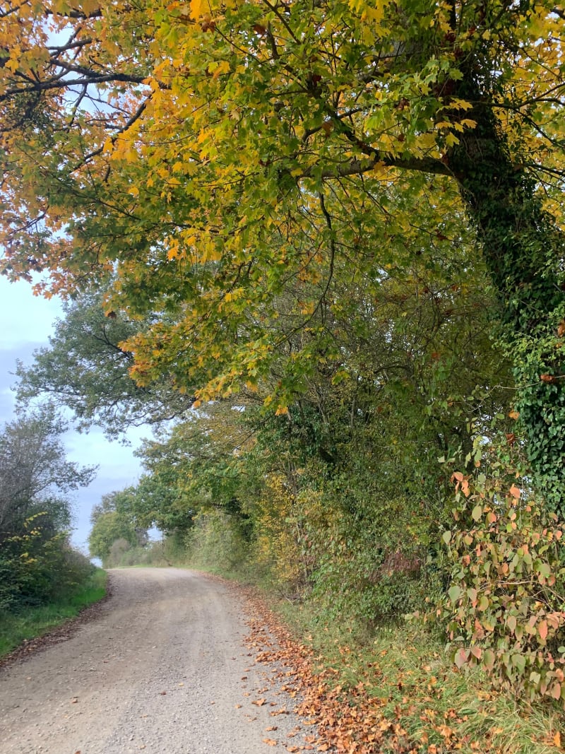 Randonnée dans les chemins de Bulhon - Bulhon