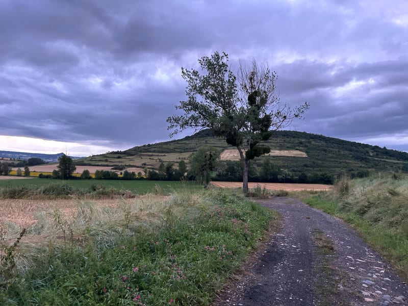 Balade entre Saint Germain et Gignat - Saint-Germain-Lembron