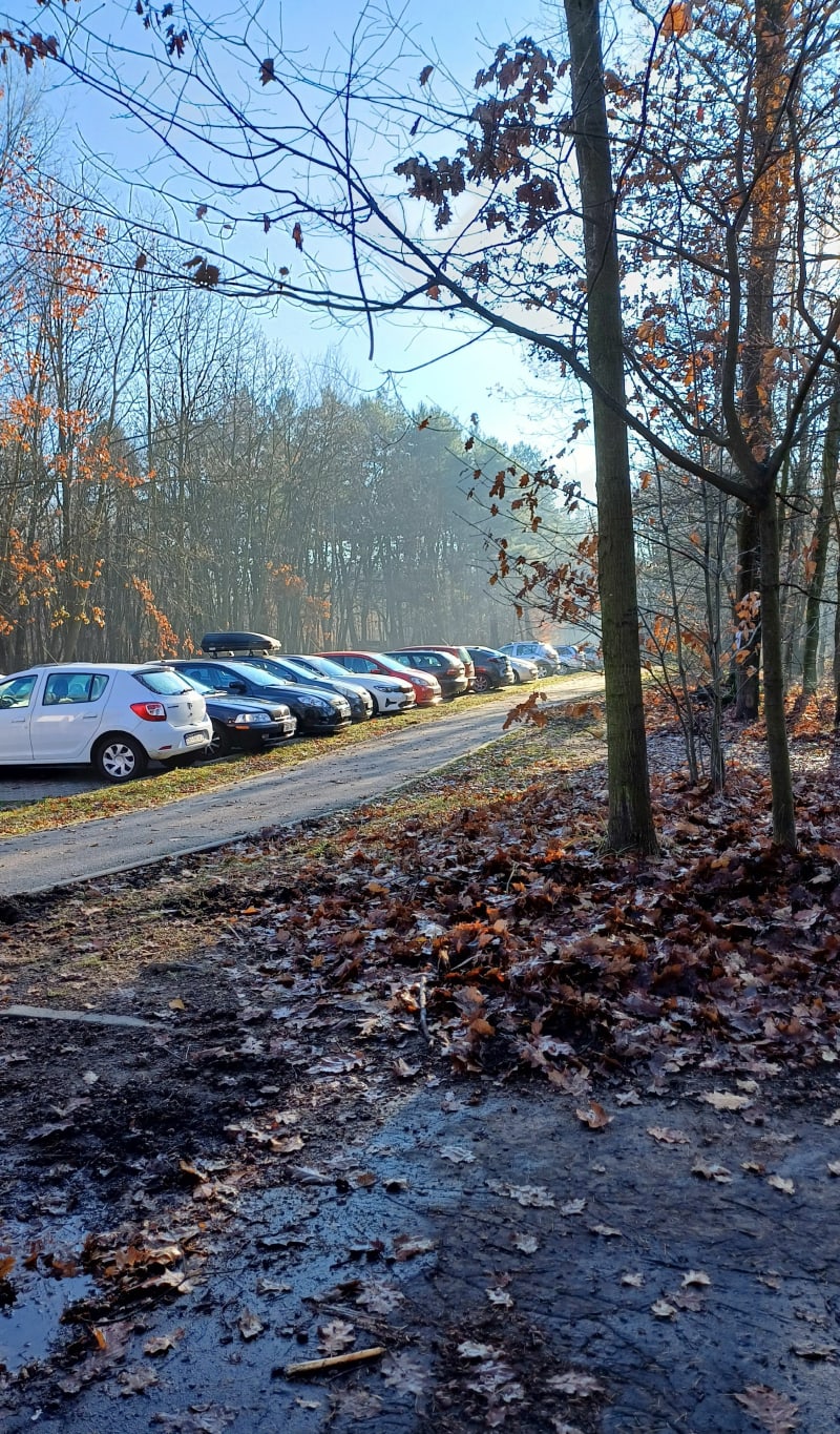 Spscer wokół stawów kochłowickiche - Ruda Śląska
