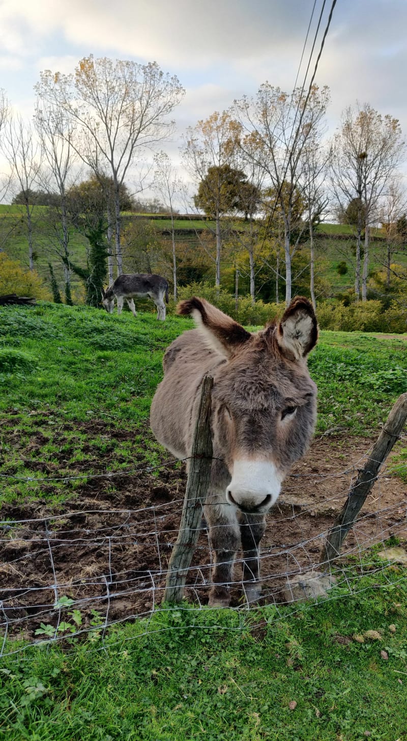 Sur les hauteurs de Maisilly - Maizilly
