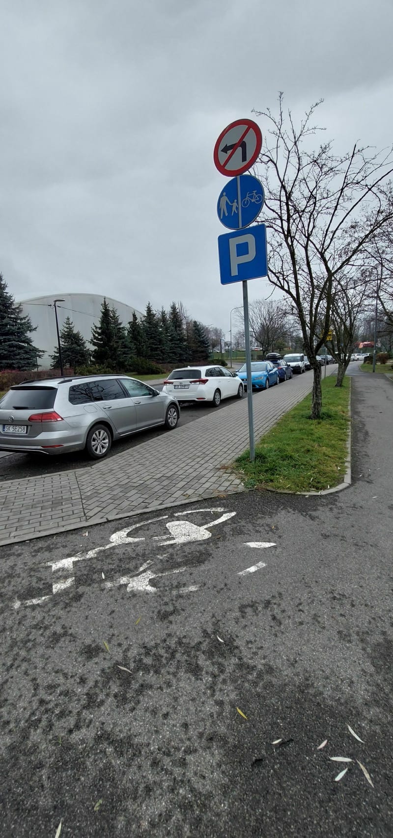 Amelung z parkingu na Skałce - Świętochłowice
