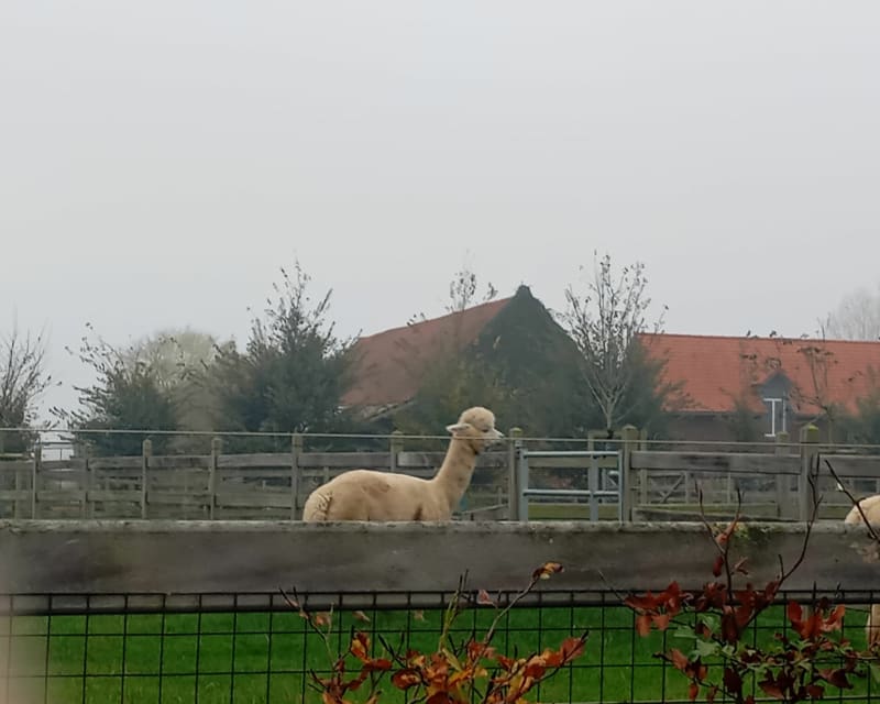 Balade autour de Steenwerck - Steenwerck