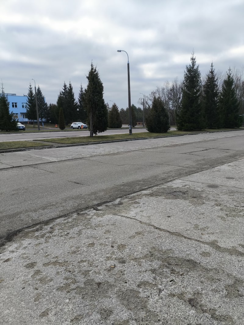 Spacer na Krynoczkę leśnymi ścieżkami - Hajnówka
