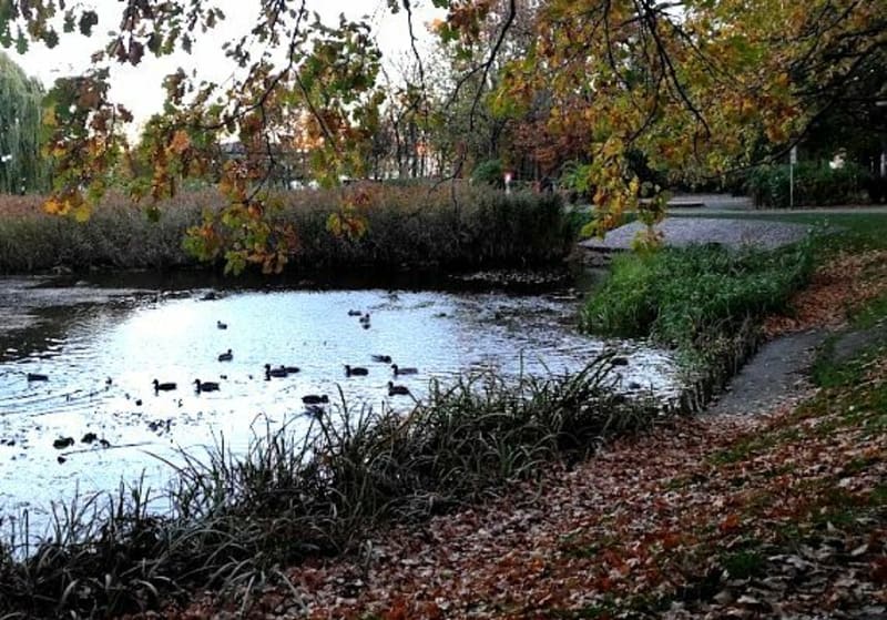 Park Czechowicki - Warszawa