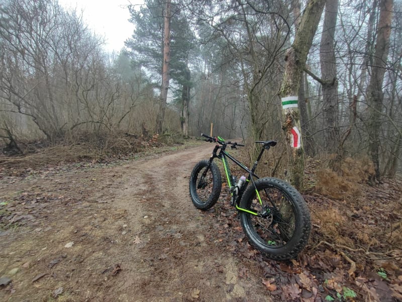 Kampinos nie taki płaski - Mariew