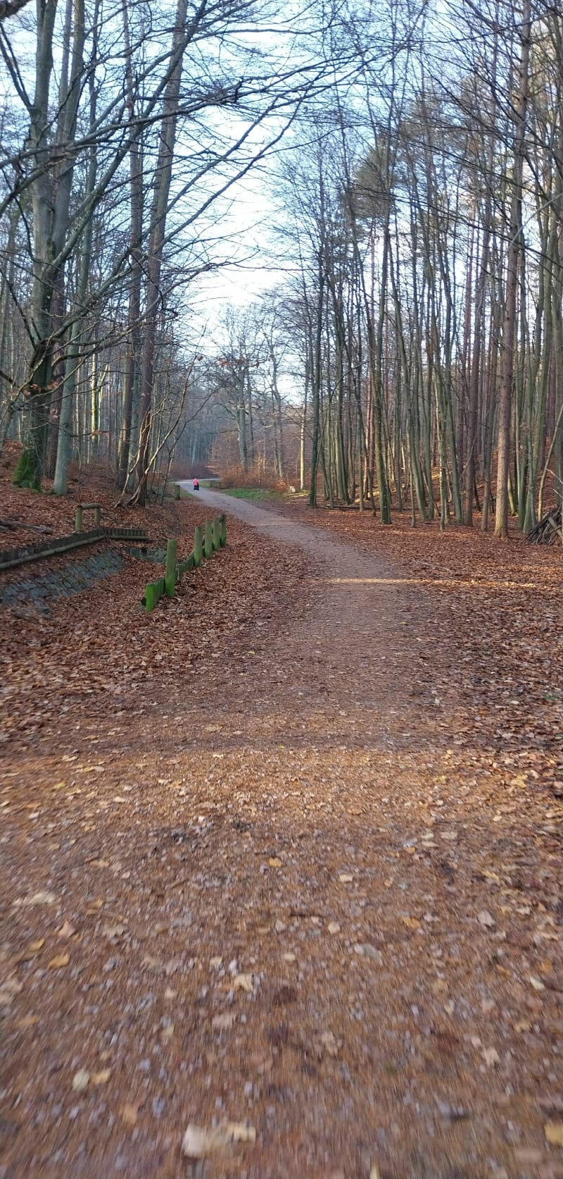 Z Matemblewa na Matarnię i z powrotem - Gdańsk
