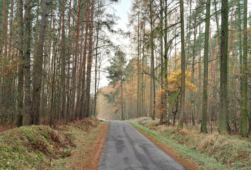 Od leśniczówki do pasa startowego i pamiątkowego głazu. - Zielonowo