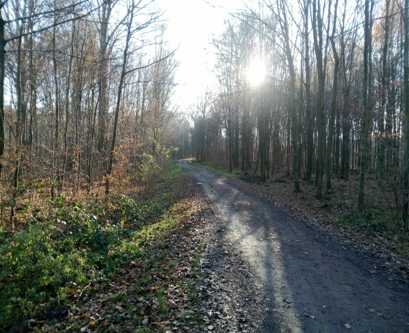 Pszowskiej doły - Lubomia