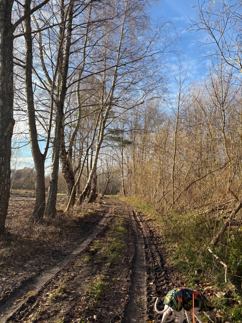 Przyjemny spacer w zachodniej Ustce - Ustka